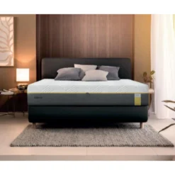 Tempur ARC FORM voodi